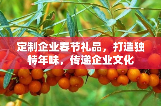 定制企业春节礼品，打造独特年味，传递企业文化